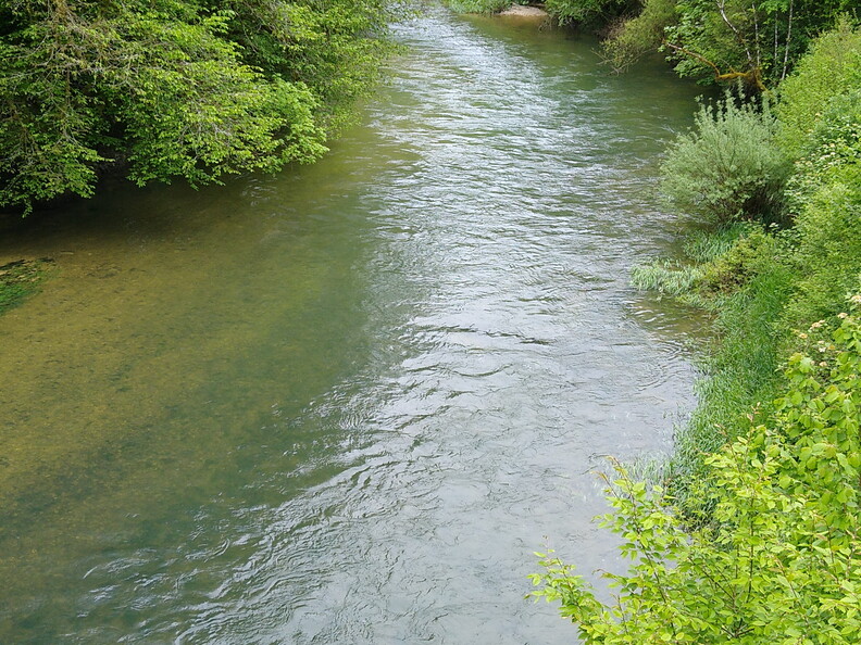 IMG-20230519-WA0014